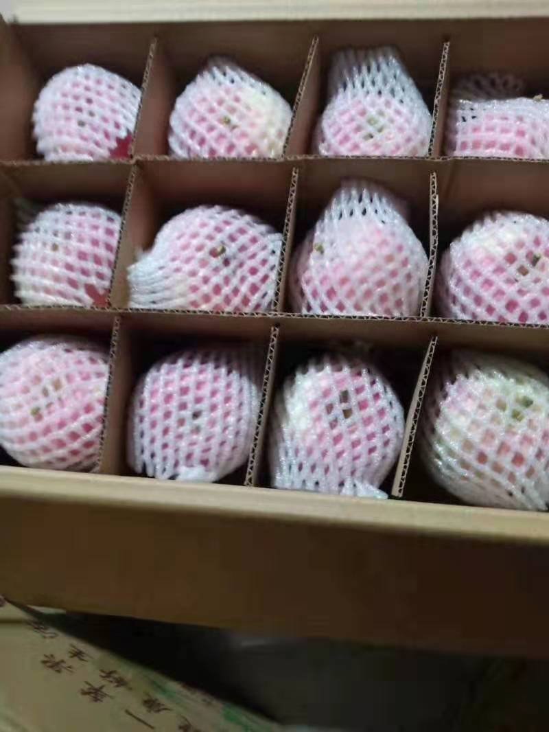 红富士苹果（由“88农场主联盟”提供）