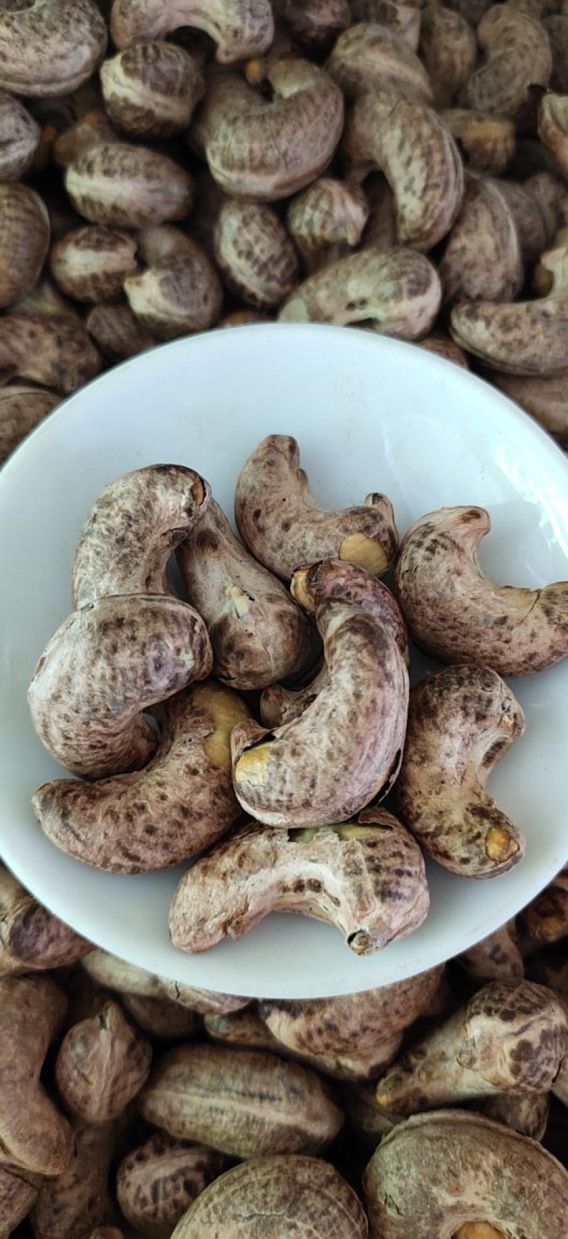 好品质新疆虎皮大腰果特果好吃咯嘣脆