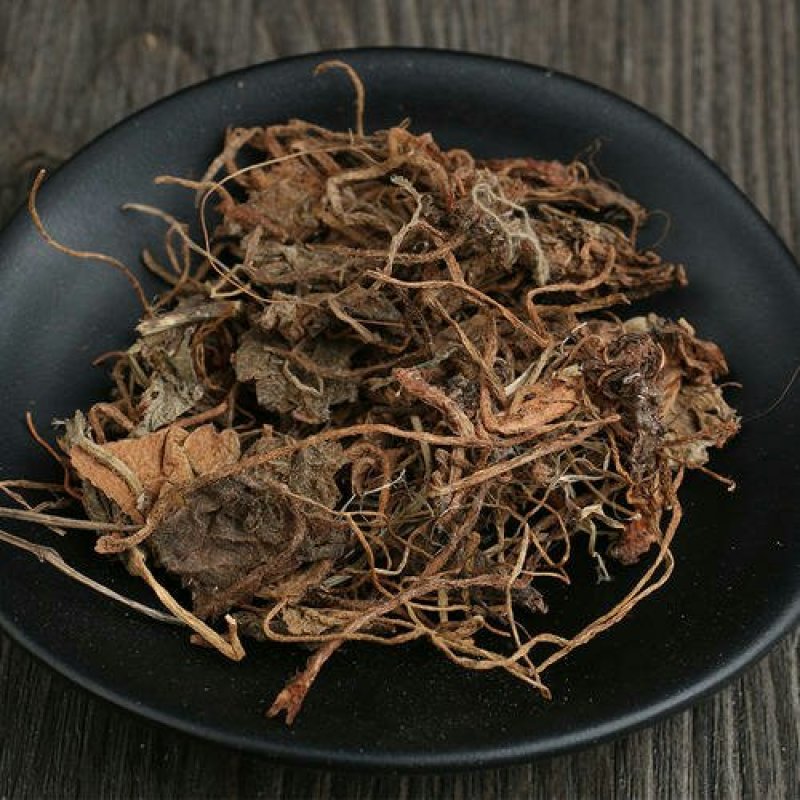 虎耳草千余品种供应承接订单