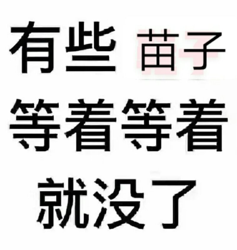 当年侧柏苗，本圃自育苗，保湿发货，现挖现发货