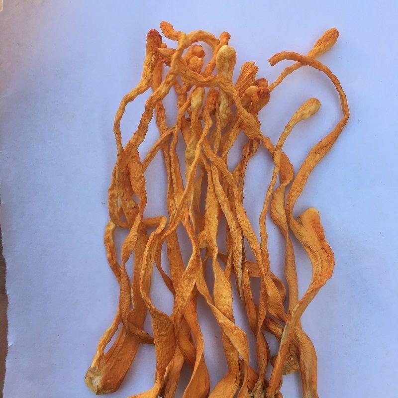 虫草花干货正品新鲜无硫蛹虫北虫草花