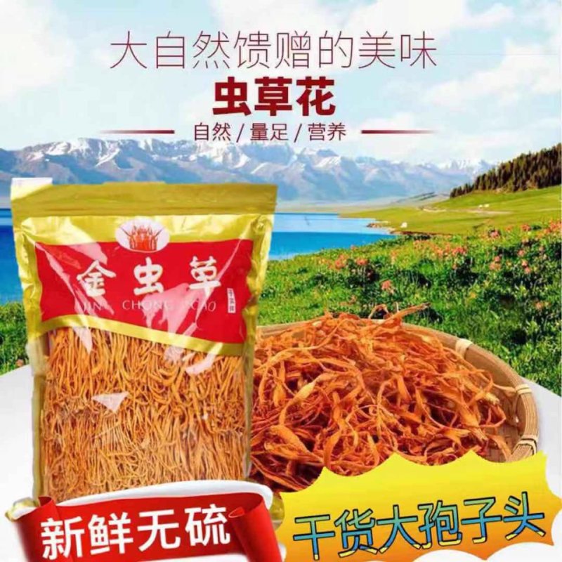 虫草花干货正品新鲜无硫蛹虫北虫草花