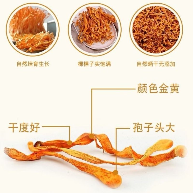 虫草花干货正品新鲜无硫蛹虫北虫草花