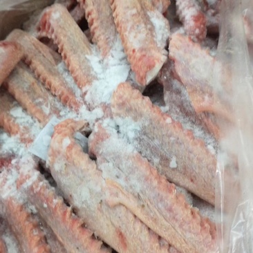 【精品】鹅翅，大小均匀，保质保量货源充足厂家直销欢迎