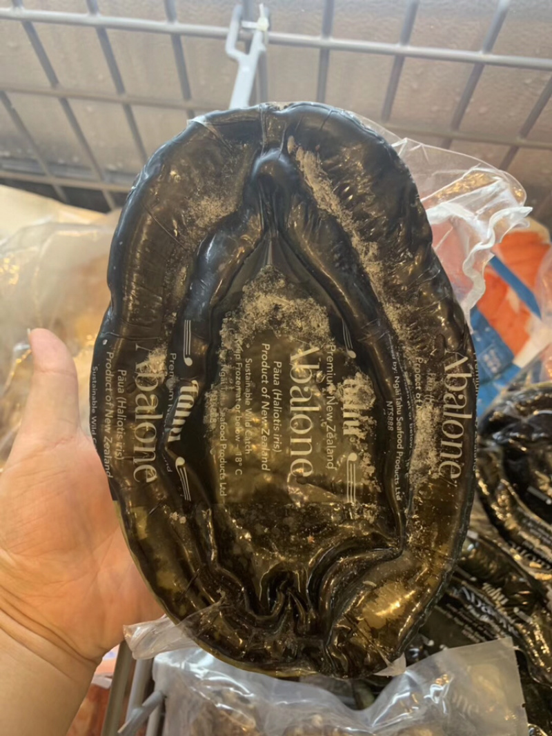 新西兰大黑金鲍