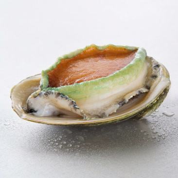 新西兰青边鲍