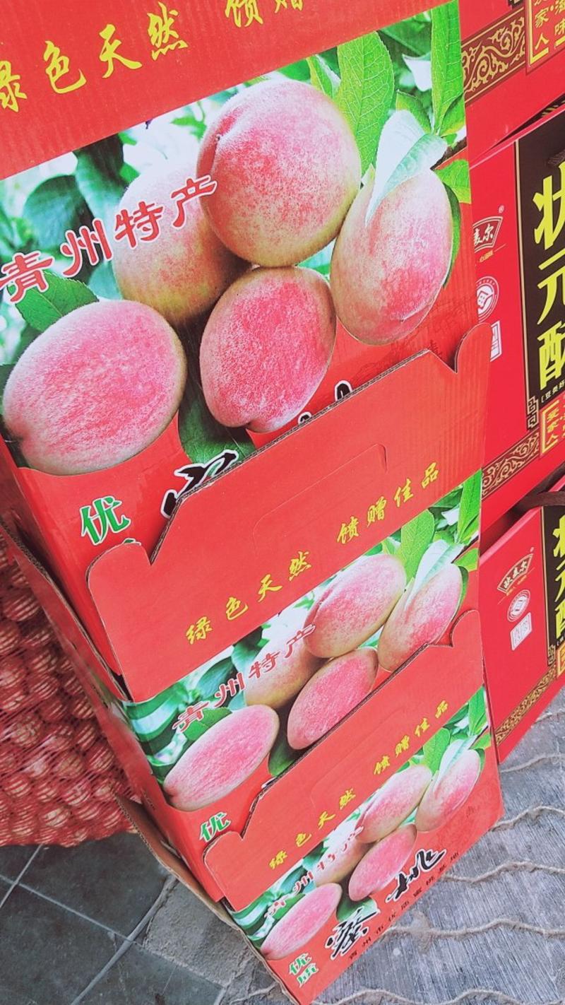 【热销】青州蜜桃脆甜口感好桃子颜色红一件代发