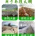 厂家直销黑白养殖膜隔热黑白膜菌用黑白膜规格齐全