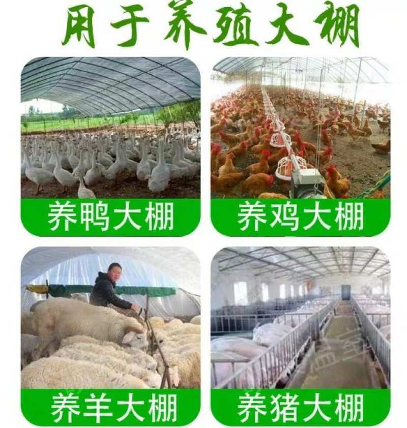 厂家直销黑白养殖膜隔热黑白膜菌用黑白膜规格齐全