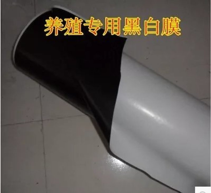 厂家直销黑白养殖膜隔热黑白膜菌用黑白膜规格齐全