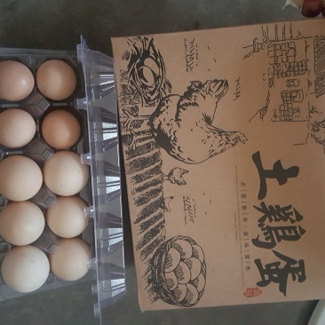 山林黑鸡土鸡蛋