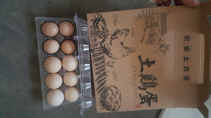 山林黑鸡土鸡蛋