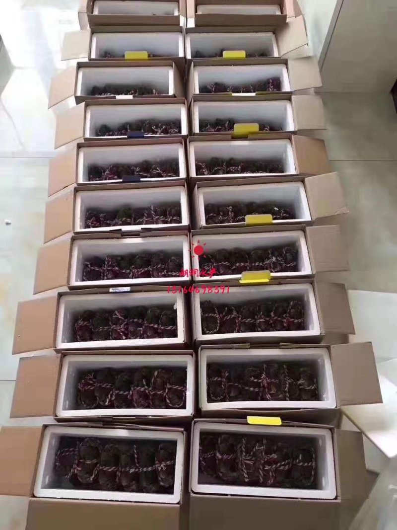 洪湖大闸蟹精品礼盒套餐一清水蟹红膏大闸蟹河蟹毛蟹鲜活
