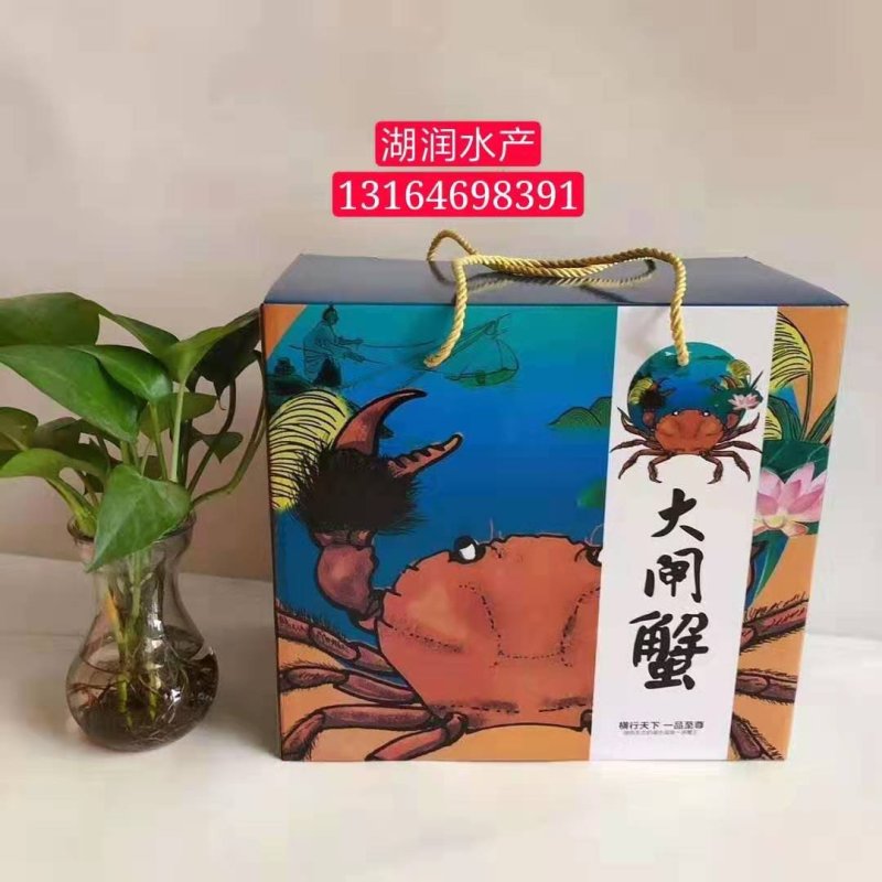 洪湖大闸蟹精品礼盒套餐一清水蟹红膏大闸蟹河蟹毛蟹鲜活