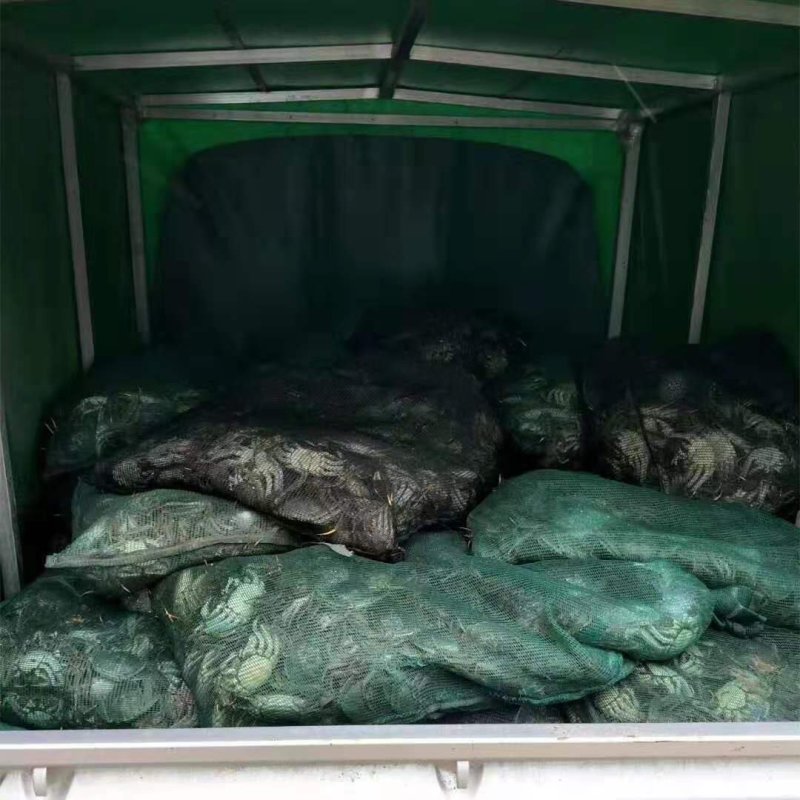 洪湖大闸蟹精品礼盒套餐二清水蟹红膏大闸蟹河蟹毛蟹鲜活