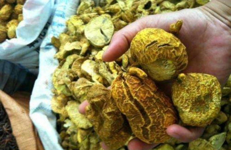 金果榄，道地药材，质优价实，品质保证，药典标准一公斤起批