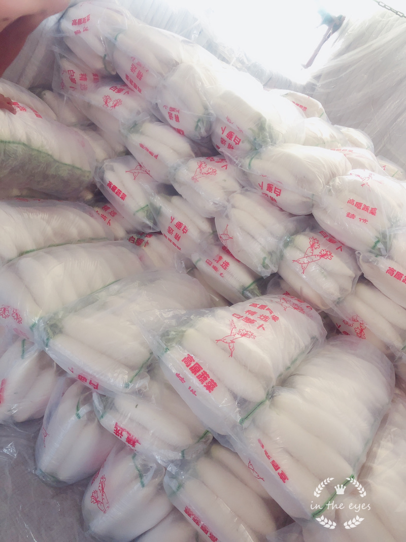 精品白萝卜货源稳定支持线上交易可视频看货