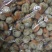 原汁北长岛扇贝肉20-40,40-60卵大1箱10斤净重