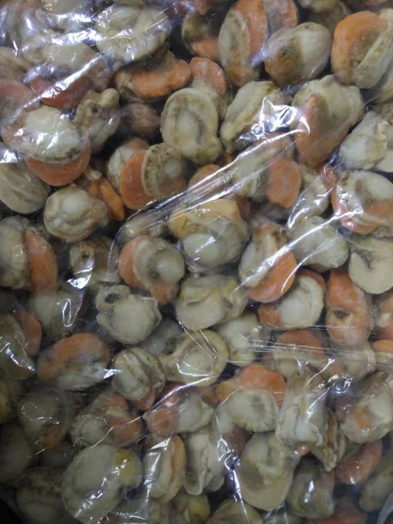 原汁北长岛扇贝肉20-40,40-60卵大1箱10斤净重