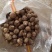 2025新鲜白芋头毛芋头香芋芋头芋艿