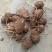 2025新鲜白芋头毛芋头香芋芋头芋艿