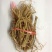 牛奶根，道地药材，质优价实，品质保证，药典标准一公斤起批