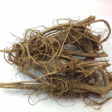 牛奶根，道地药材，质优价实，品质保证，药典标准一公斤起批