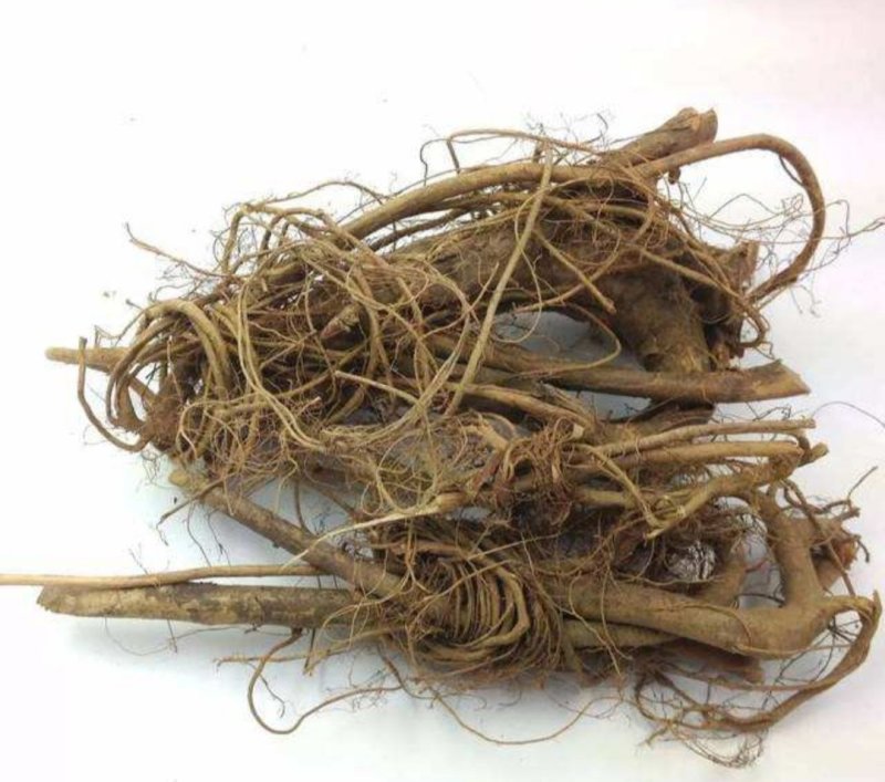 牛奶根，道地药材，质优价实，品质保证，药典标准一公斤起批