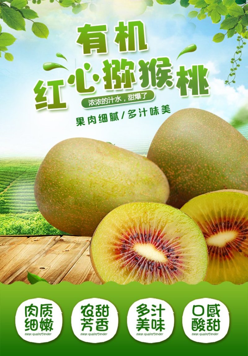 苍溪红心猕猴桃产地大果免邮直供对接电商支持一件代发