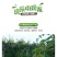 苍溪红心猕猴桃产地大果免邮直供对接电商支持一件代发