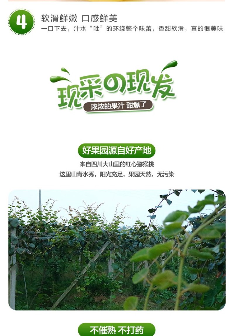 苍溪红心猕猴桃产地大果免邮直供对接电商支持一件代发