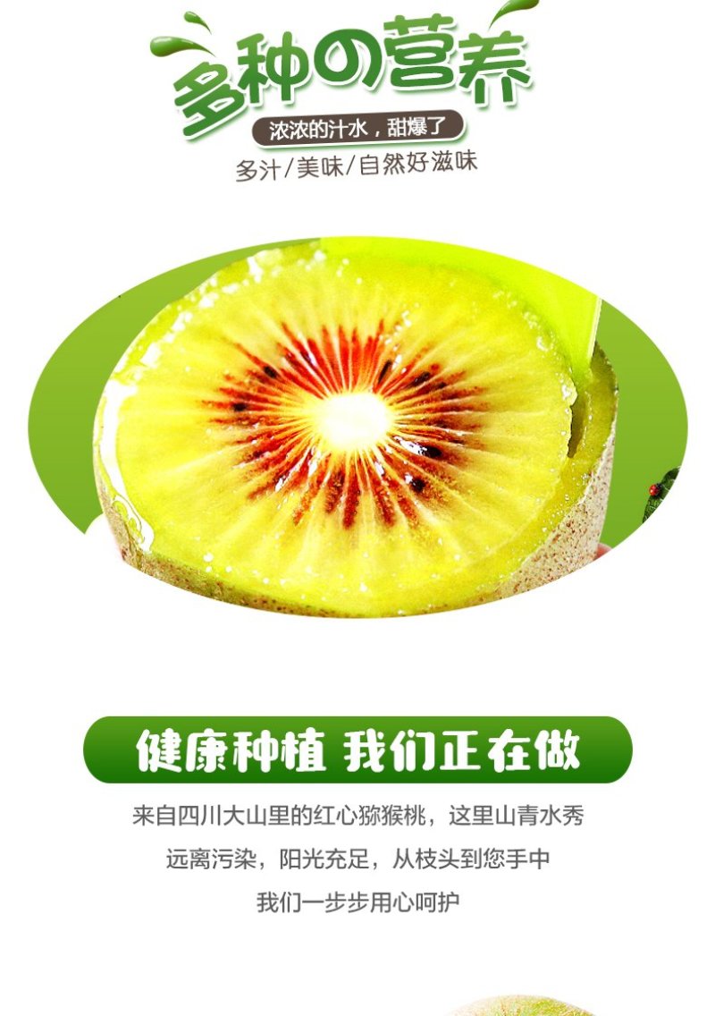 苍溪红心猕猴桃产地大果免邮直供对接电商支持一件代发