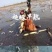 380万斤莲藕藕种出售