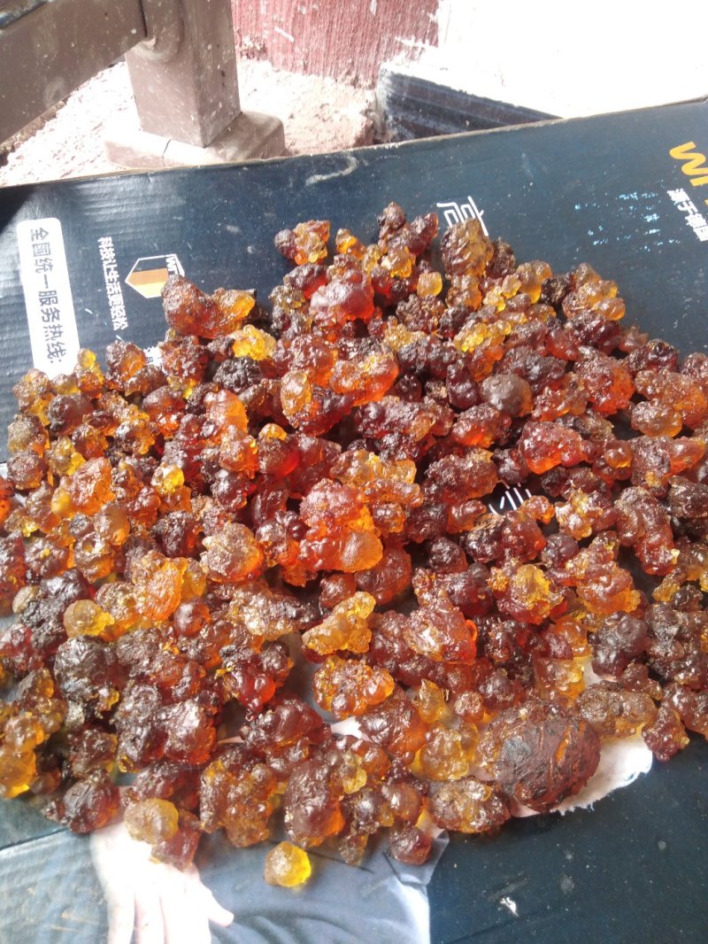 野生深山纯天然桃胶