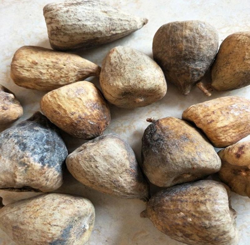 木馒头，道地药材，质优价实，品质保证，药典标准一公斤起批