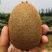【猕猴桃】正宗徐香猕猴桃产地直发量大从优欢迎咨询