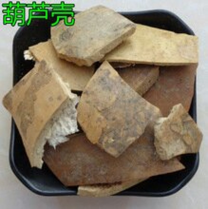 葫芦壳千余品种供应承接订单