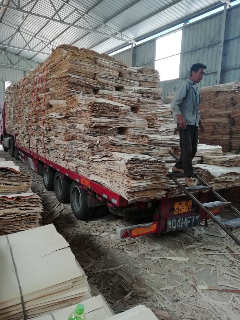 《杨树板皮》厚度1.8-2.2常年供应支持视频看货