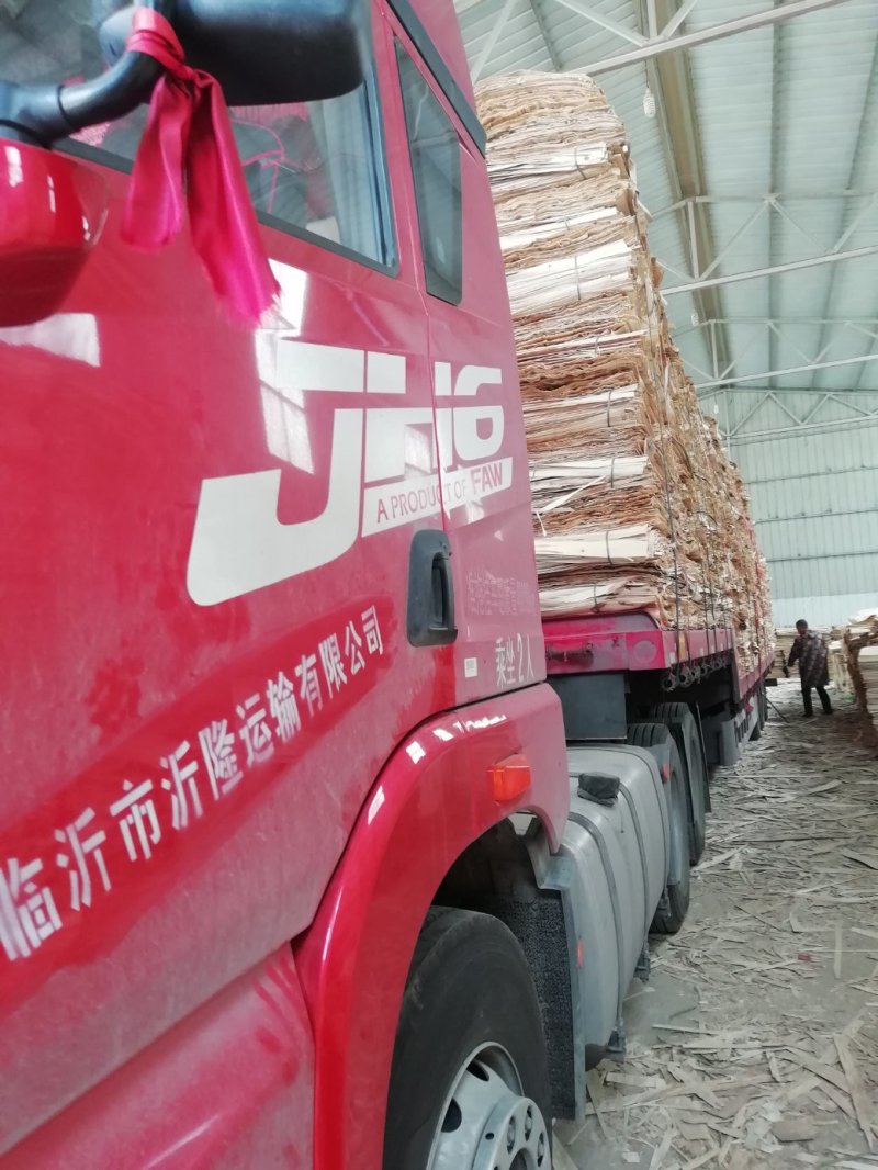 《杨树板皮》厚度1.8-2.2常年供应支持视频看货