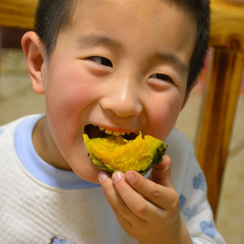 惠和真贝贝小南瓜粉面迷你南瓜宝宝辅食老南瓜1/3/