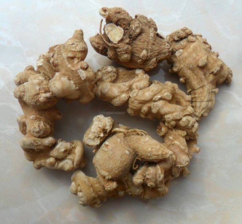 竹根七，道地药材，质优价实，品质保证，药典标准一公斤起批