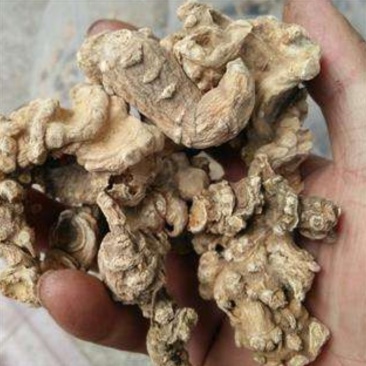 竹根七，道地药材，质优价实，品质保证，药典标准一公斤起批