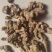 竹根七，道地药材，质优价实，品质保证，药典标准一公斤起批