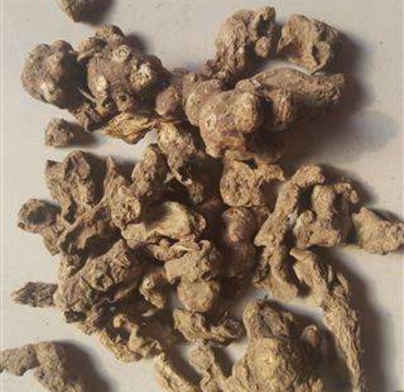 竹根七，道地药材，质优价实，品质保证，药典标准一公斤起批