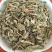 【车前草】车前草统产地直供量大从优物美价廉