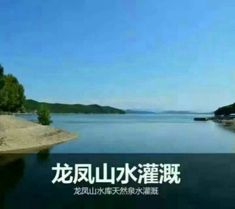 五常市龙凤山鸭田富硒稻花香2号大米（10斤礼盒）包邮