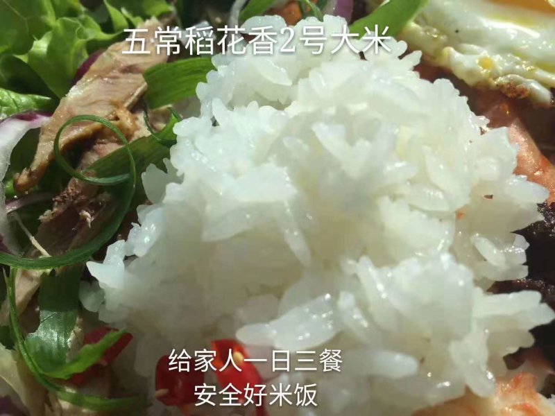 五常市龙凤山鸭田富硒稻花香2号大米（10斤礼盒）包邮