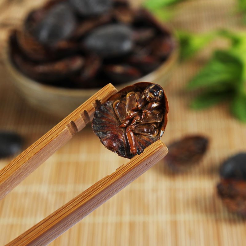 土鳖虫地鳖虫土元可打粉各种规格中药专营