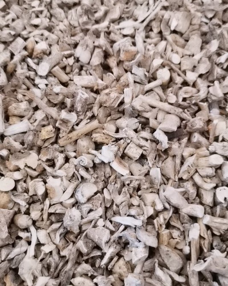 中药材白鲜皮康辰药业批发各种中药材