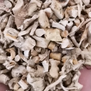 中药材白鲜皮康辰药业批发各种中药材
